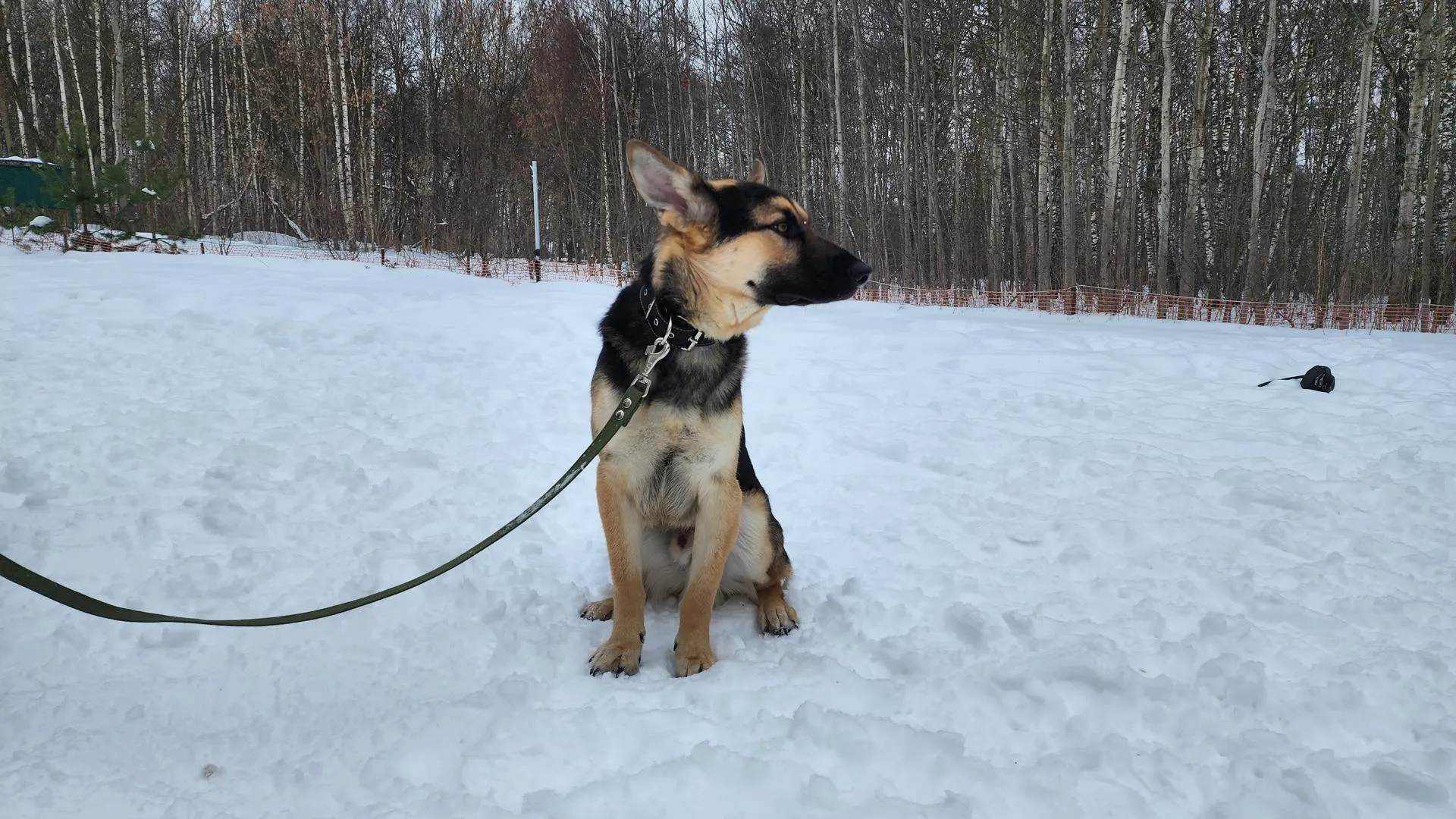 Медиа – Анастасия Сараева