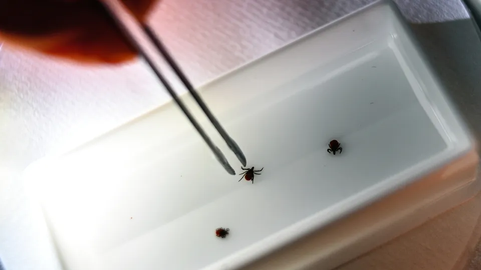 Фото: РИА Новости/Павел Лисицын