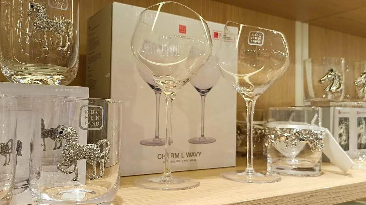 REGIONS/Эльвира Сафина