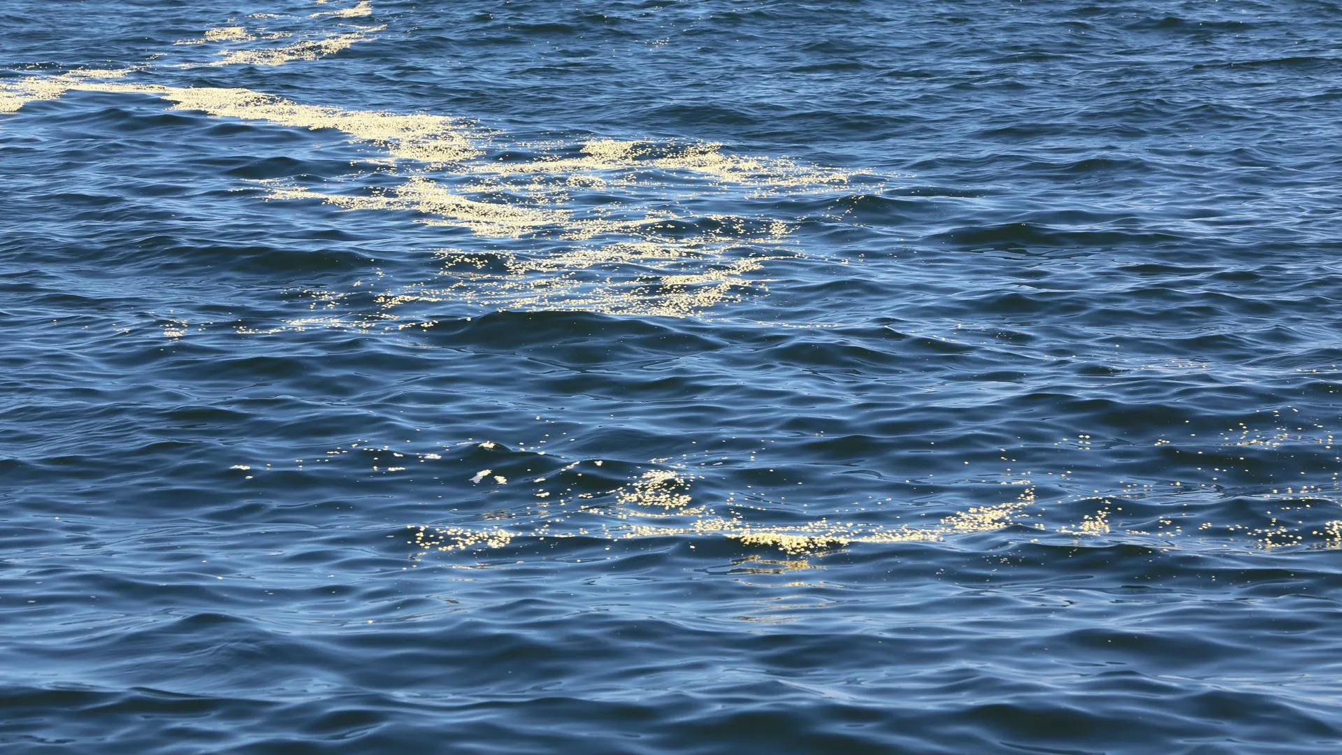 IMAGO/www.imago-images.de