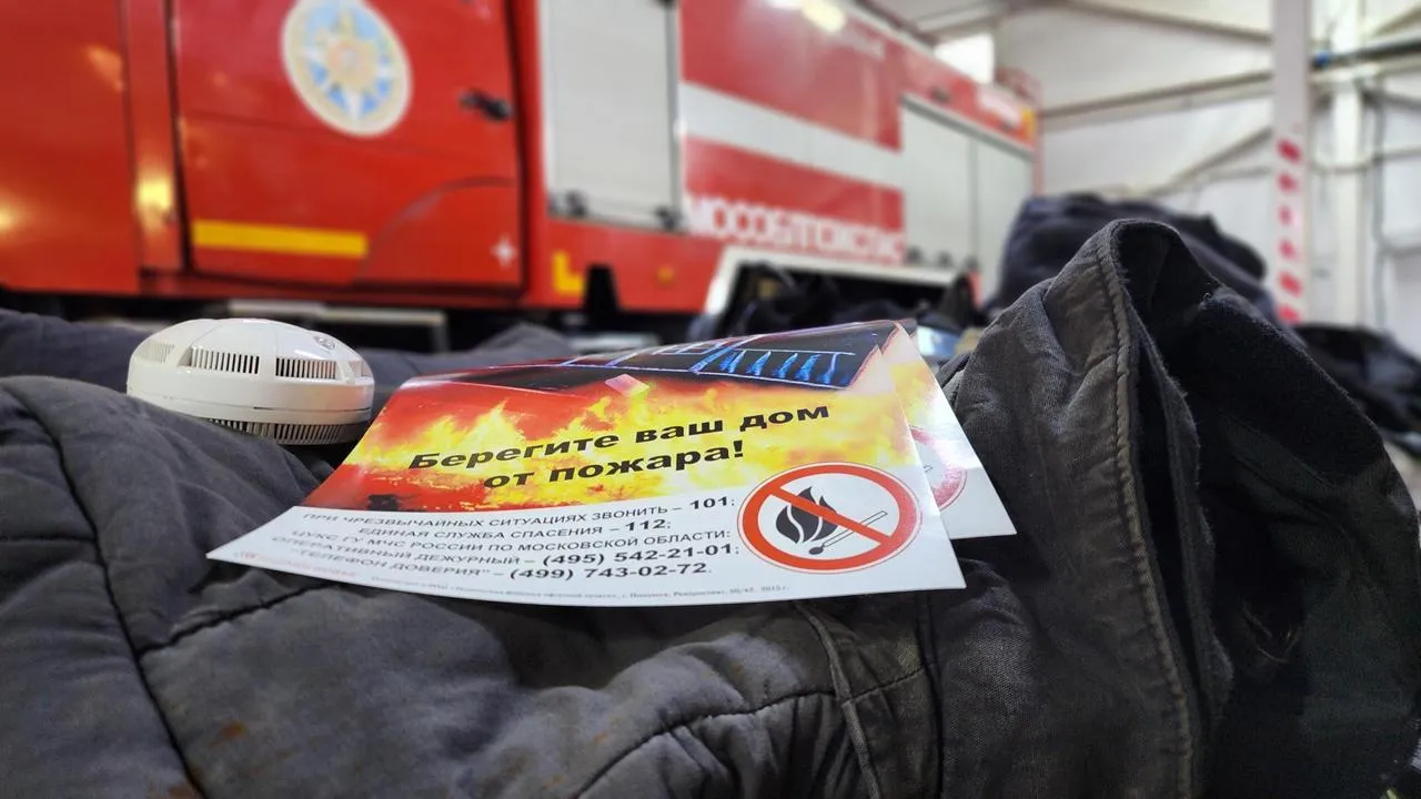 МедиаБанк Подмосковья/Екатерина Данилина