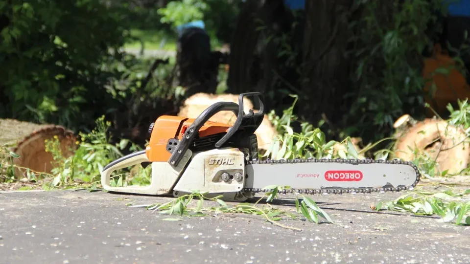 Фото: REGIONS/Василий Тремасов