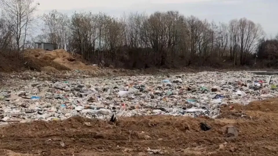 Фото: t.me/ugorodok (ГородОК Жуковский Раменское)