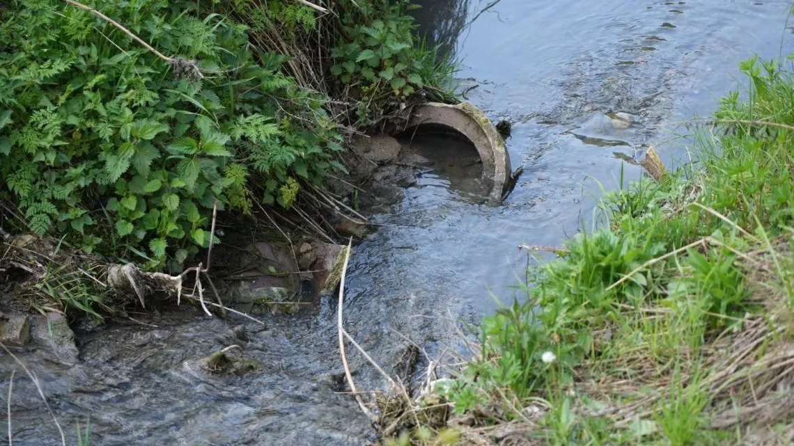 Фото: пресс-служба администрации г.о. Сергиев Посад