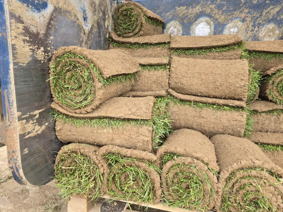 Фото: Яна Шаливская