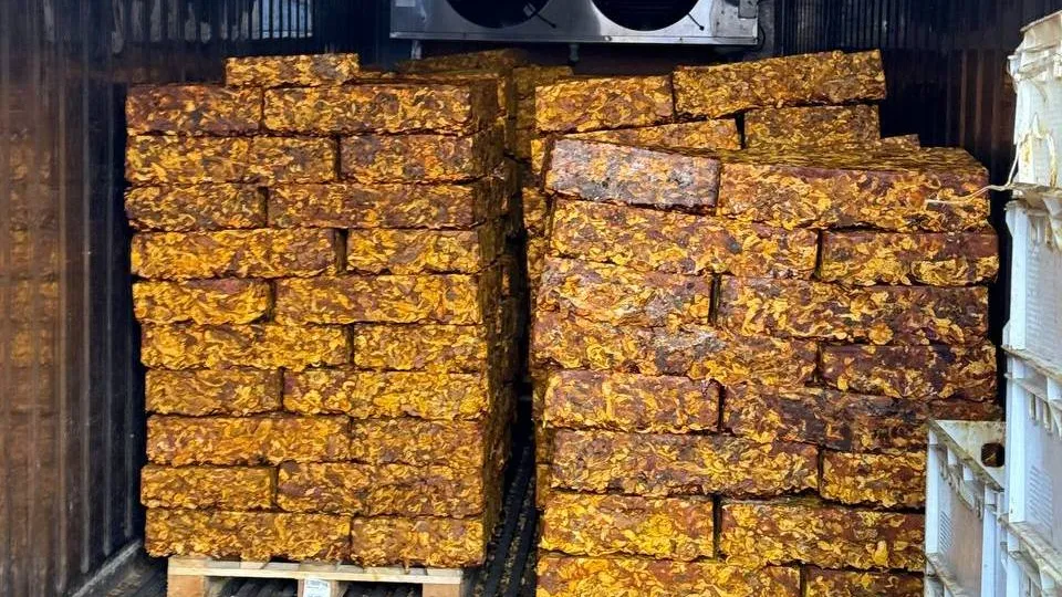 Фото: управление экологии городского округа Мытищи