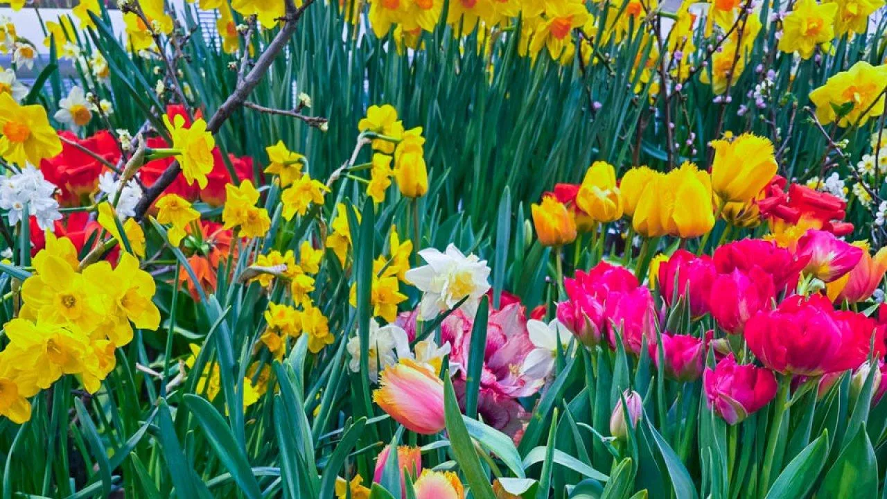 REGIONS/Елена Никольская