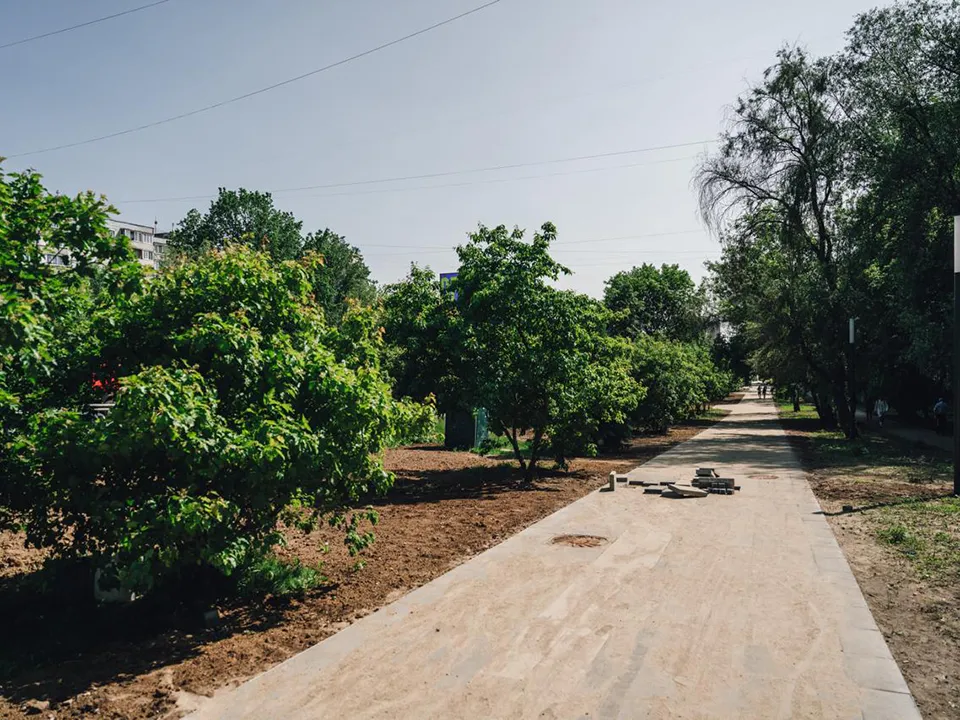 Фото: пресс-служба администрации г.о. Щелково