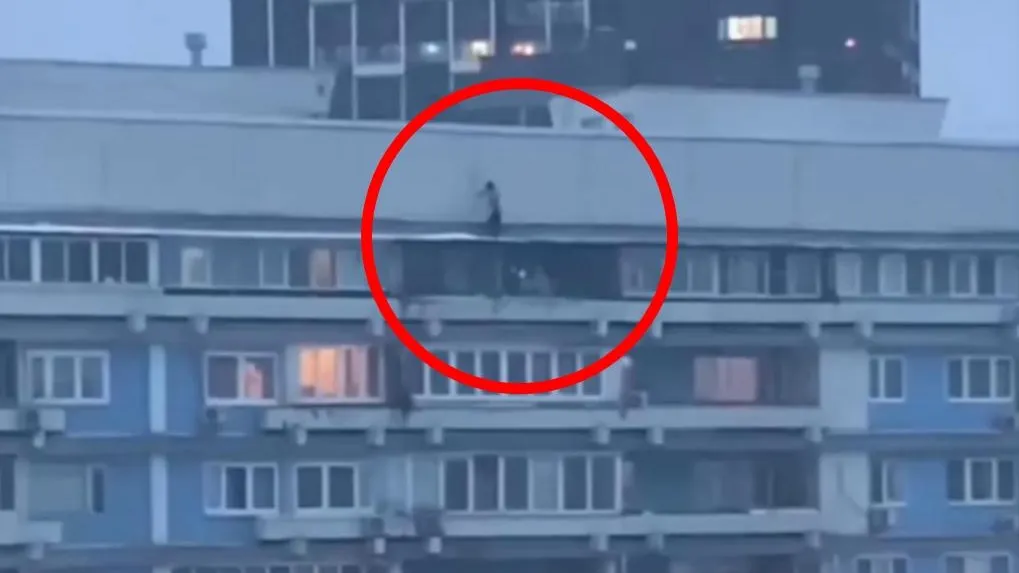 фото: скриншот