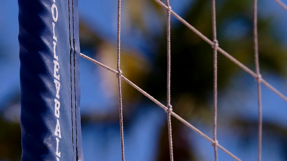 Фото: unsplash.com