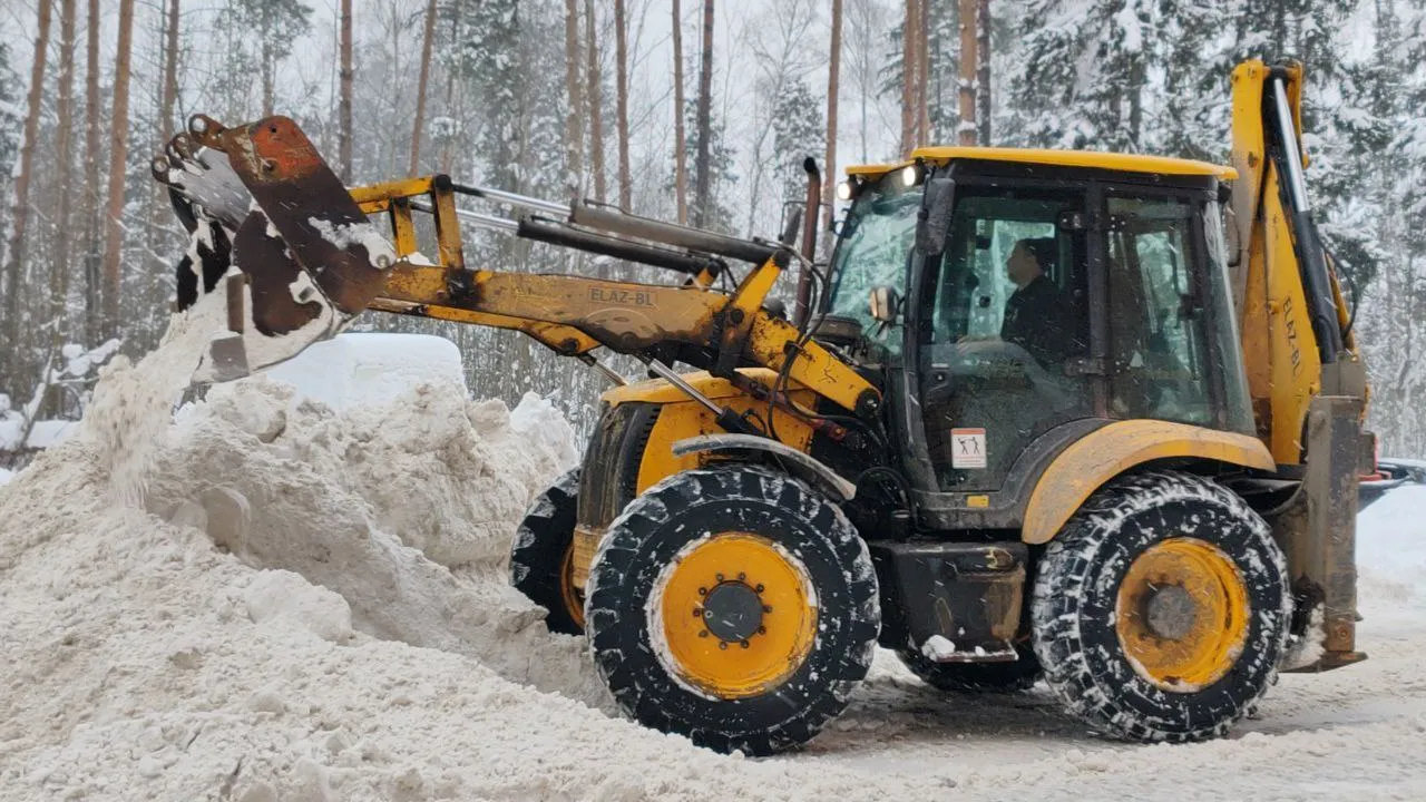 Фото: пресс-служба администрации г. о. Черноголовка