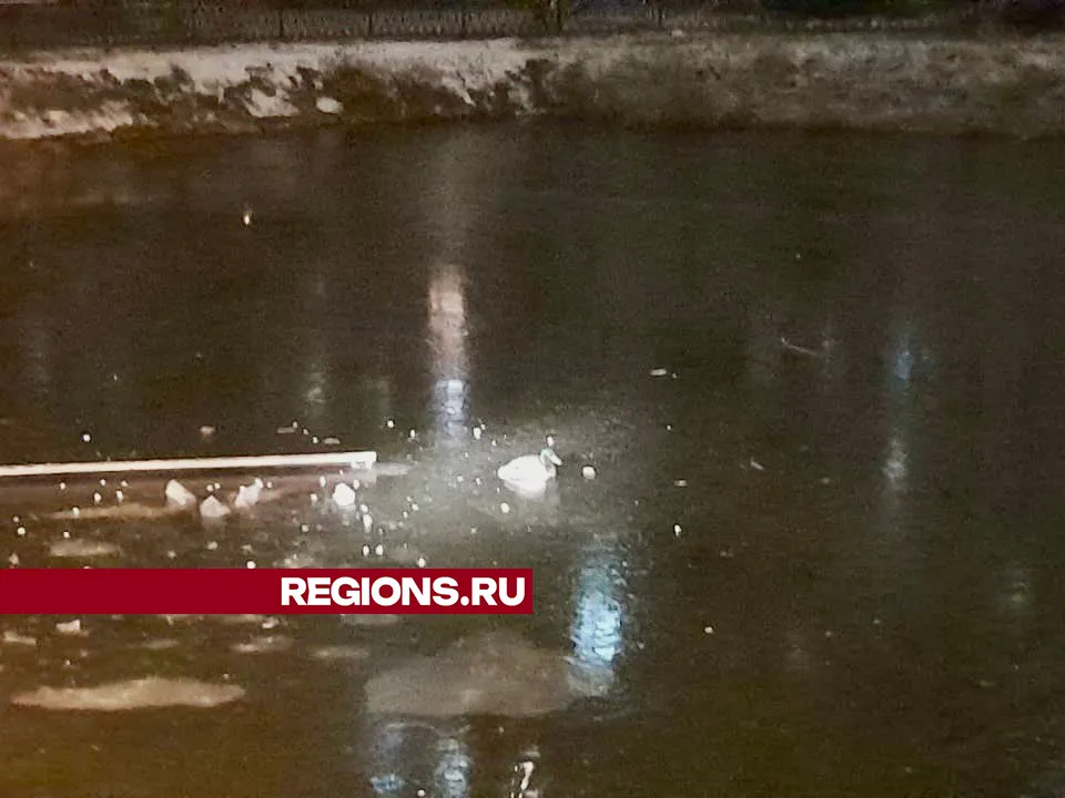 Фото: Михаил Уробушкин