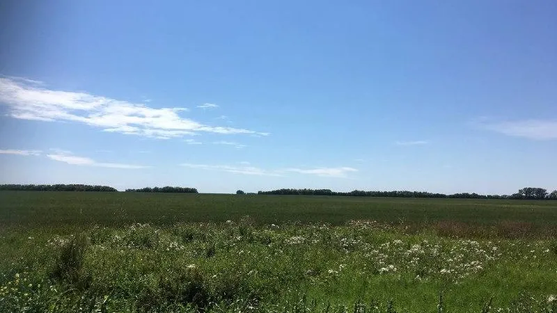 Фото: пресс-служба Минсельхозпрод МО