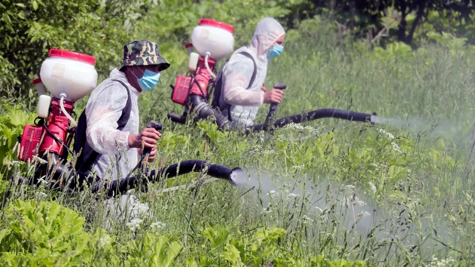 Фото: РИА Новости/Виталий Белоусов