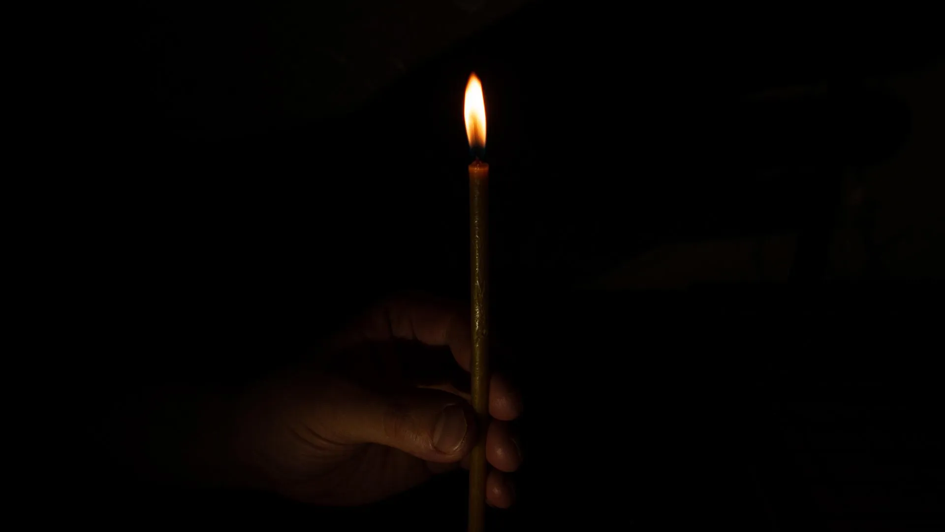 Svetlana Vozmilova/Global Look Press