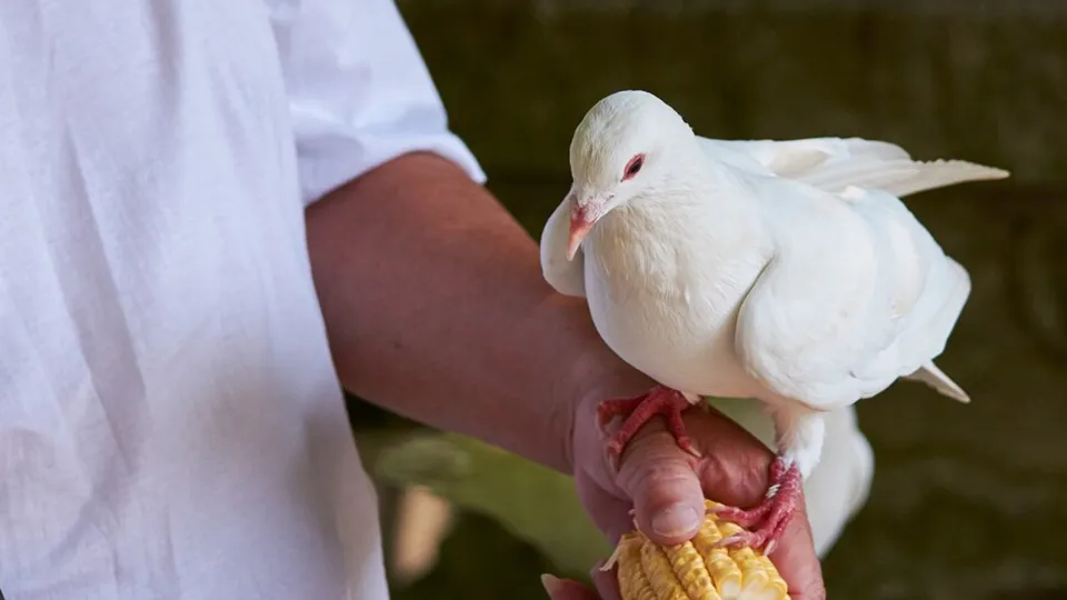 Фото: freepik.com