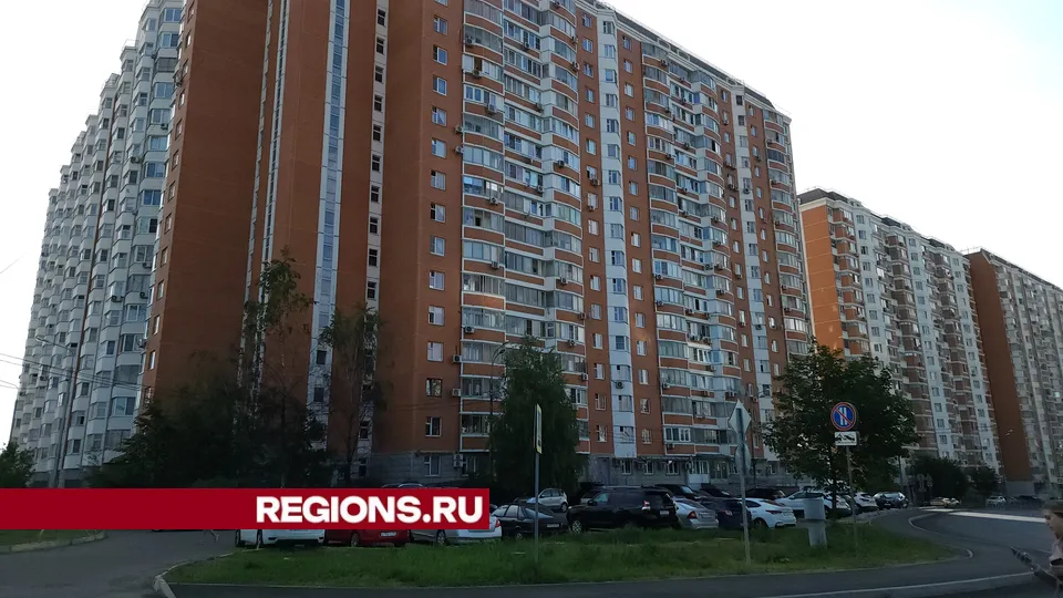 Фото: Никита Сморкалов