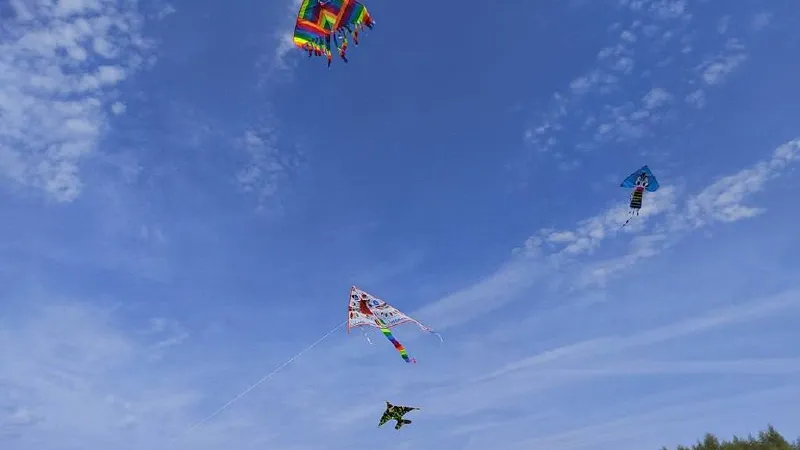 Фото: Администрация г.о. Красногорск