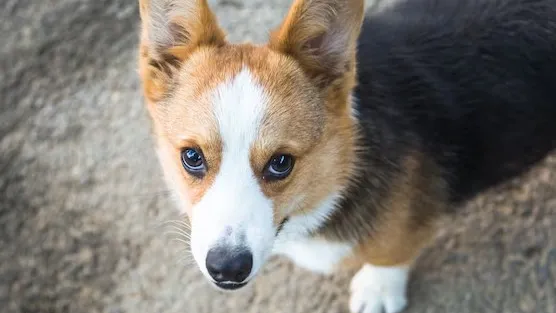 Фото: freepik.com