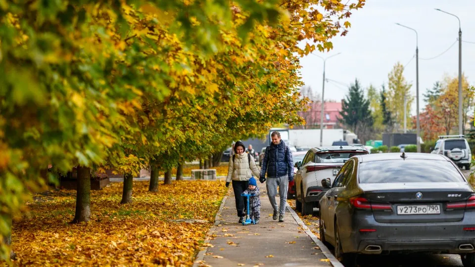 Фото: медиасток.рф