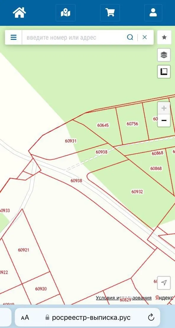 Фото: Роман Яковлев