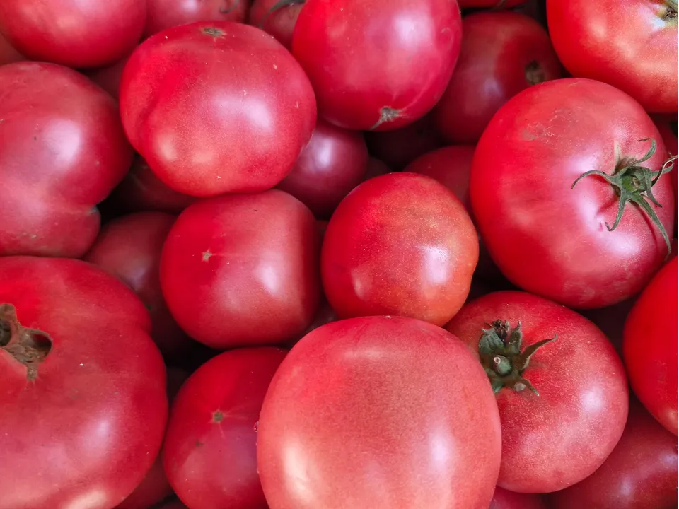 Фото: REGIONS/Наталия Надточая