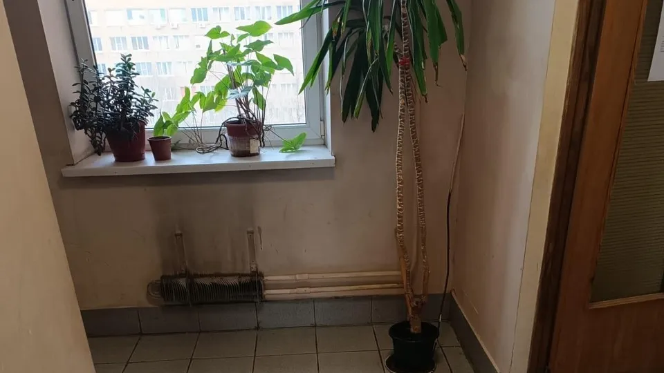 Фото: пресс-служба администрации Одинцовского городского округа