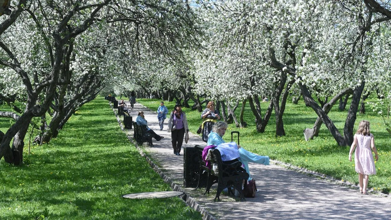 медиасток.рф