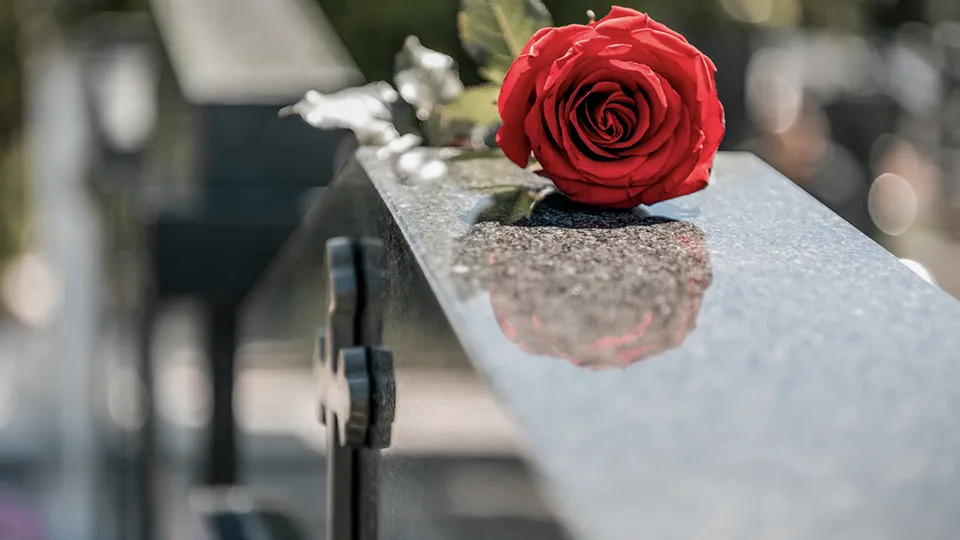 Фото: istockphoto.com/RealPeopleGroup