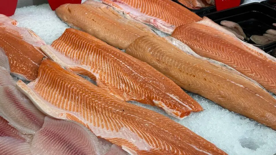 REGIONS/Маргарита Салахова