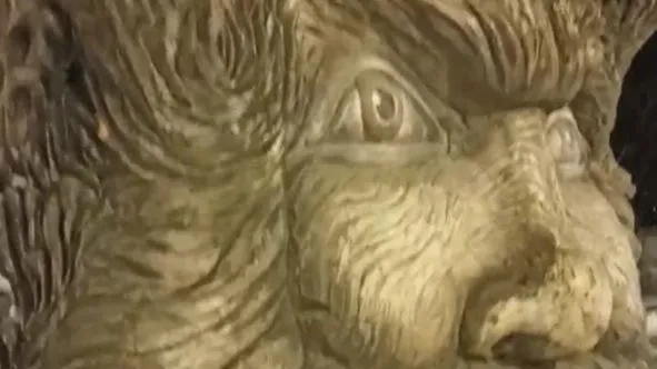 Фото стоп-кадр с видео https://vk.com/welovedmitrov