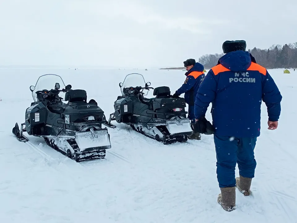 Фото: МедиаБанк Подмосковья/Игорь Панов