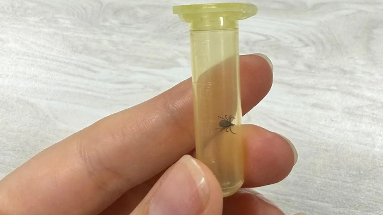 REGIONS/Александра Степанова