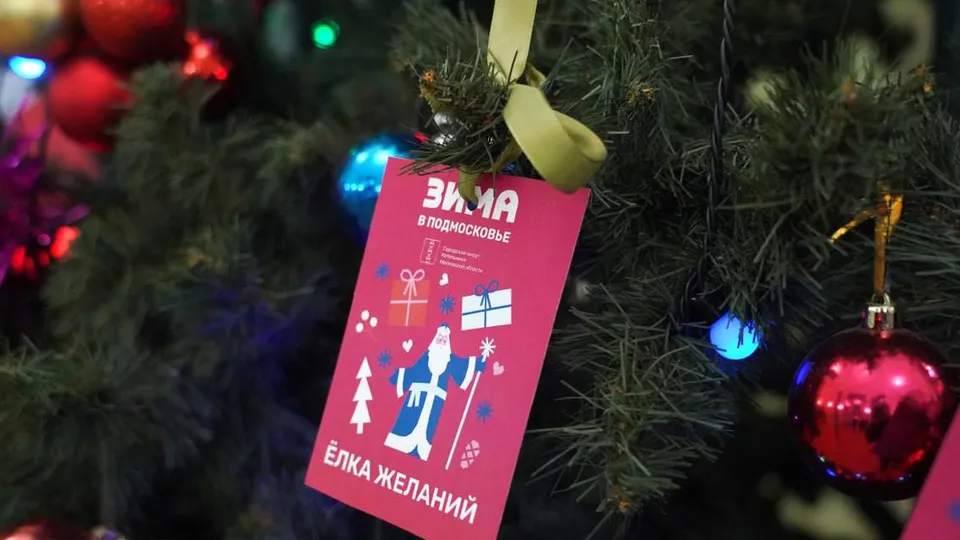 Фото: пресс-служба администрации г.о.Котельники