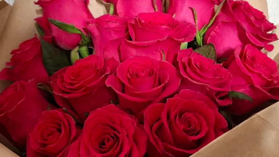 Фото: REGIONS/Юлия Габбасова