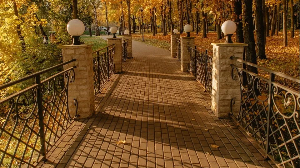 Фото: пресс-служба Администрации г.о. Химки