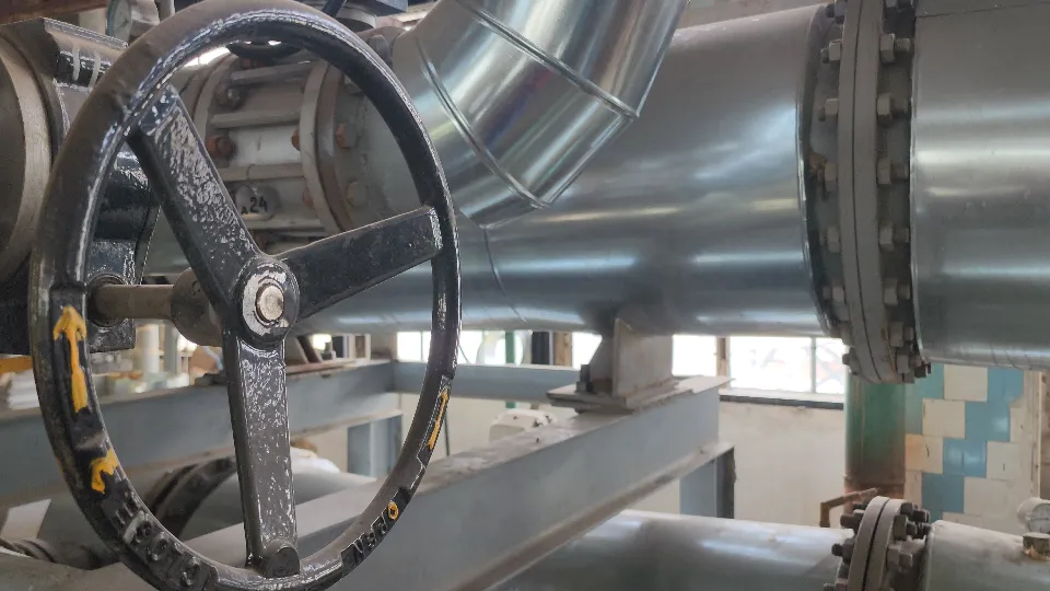 Фото: Юлия Андросова