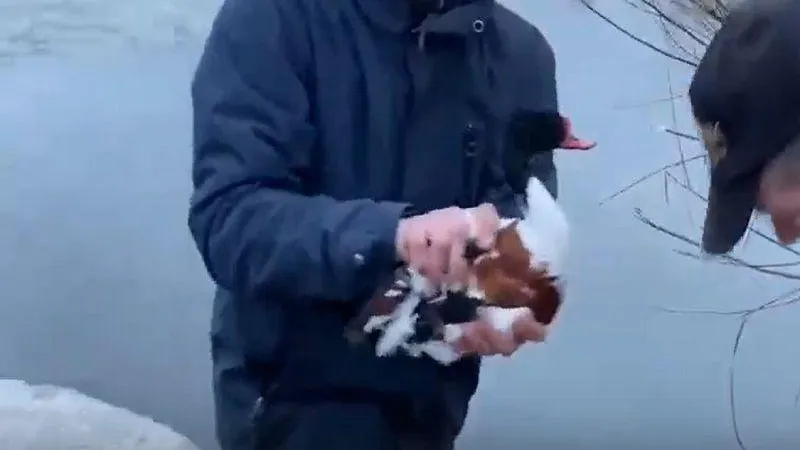 Это Дмитров, детка / ВКонтакте