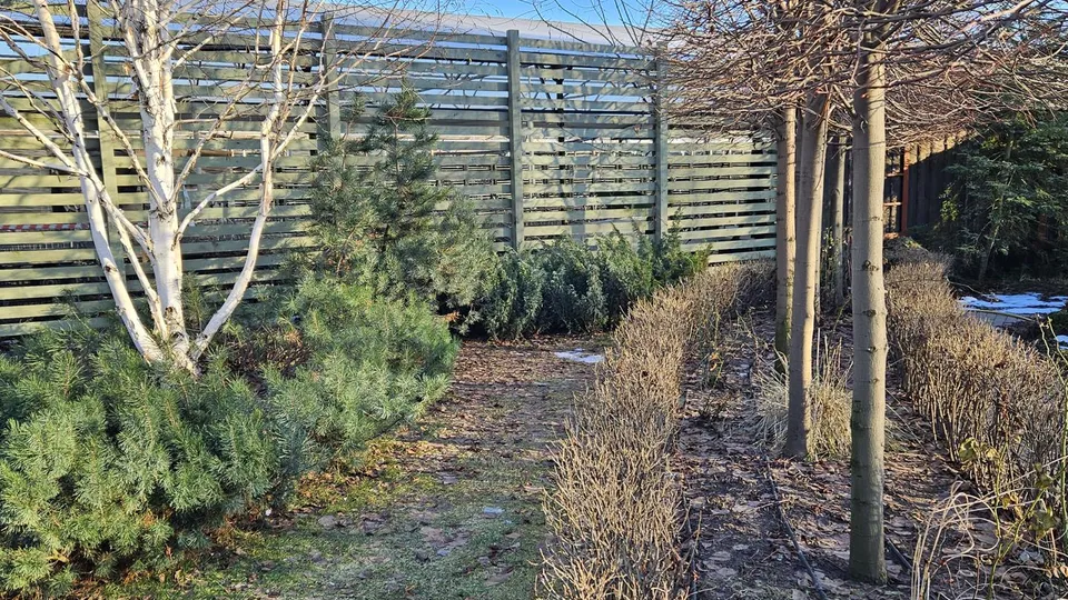 Фото: МедиаБанк Подмосковья/Ольга Вельшикаева