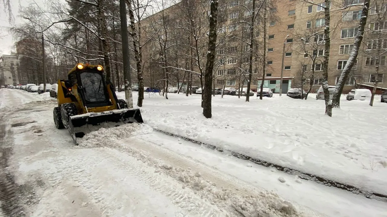 Фото: пресс-служба администрации г.о. Королев
