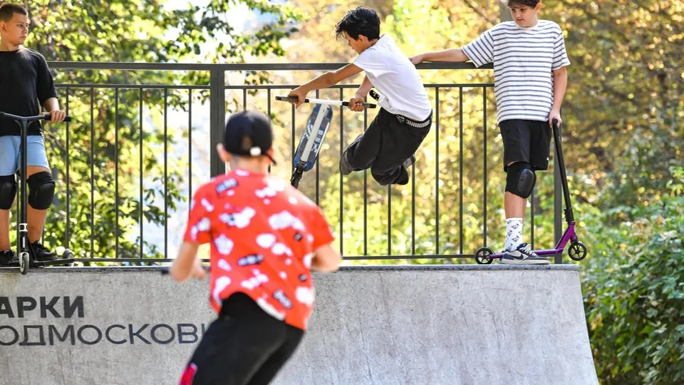 Фото: Министерство благоустройства Московской области