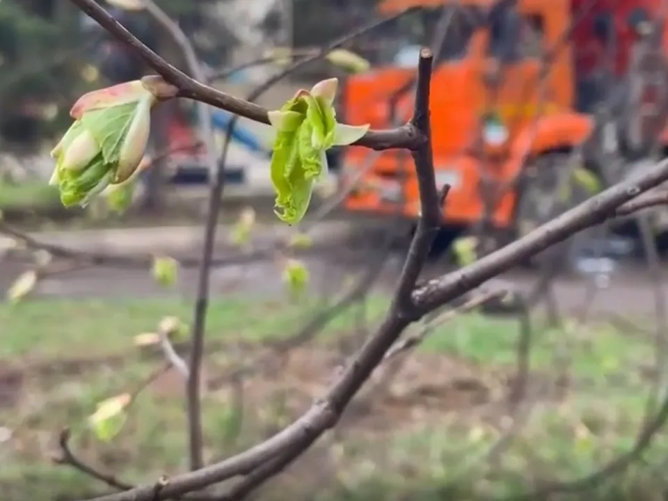 Фото: ТВ «Угреша»