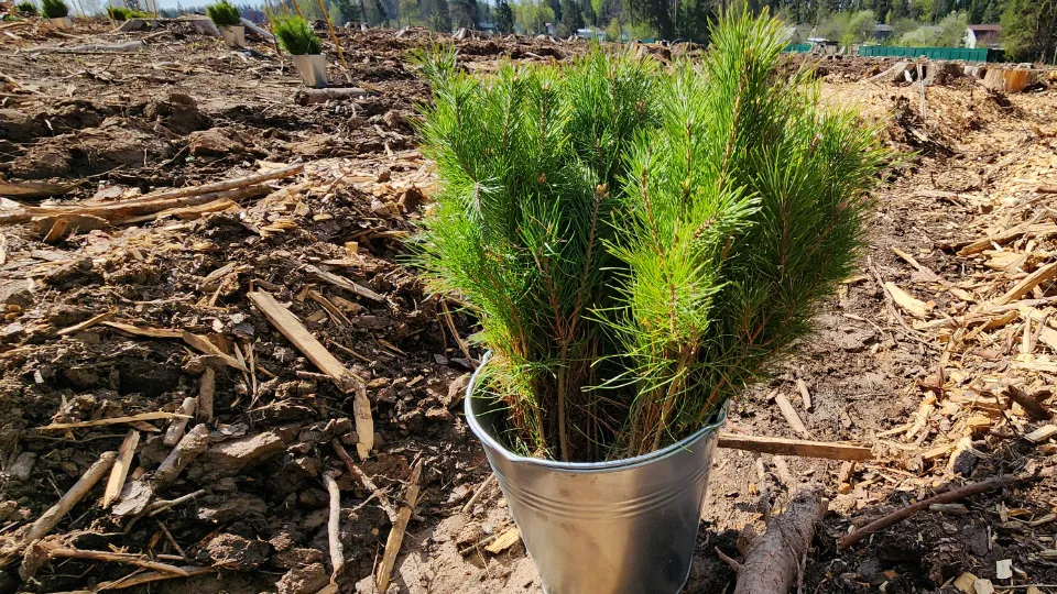 Фото: МедиаБанк Подмосковья/Екатерина Данилина