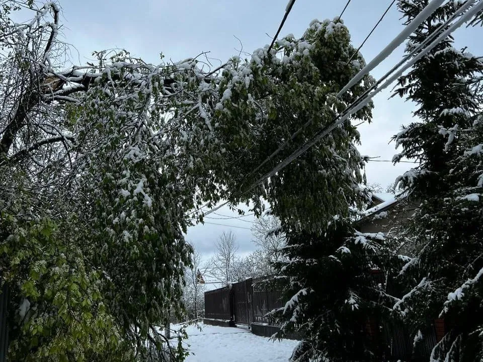 Фото: администрация Одинцовского округа