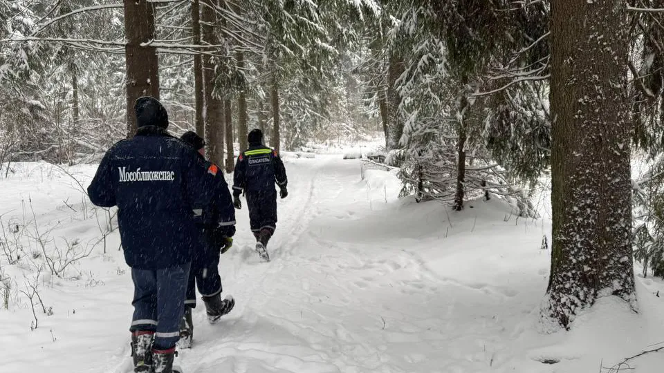 Фото: ГКУ МО «Мособлпожспас»