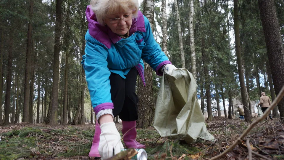 Фото: медиасток.рф