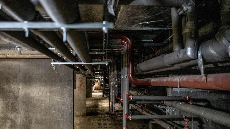 Фото: администрация г.о. Реутов