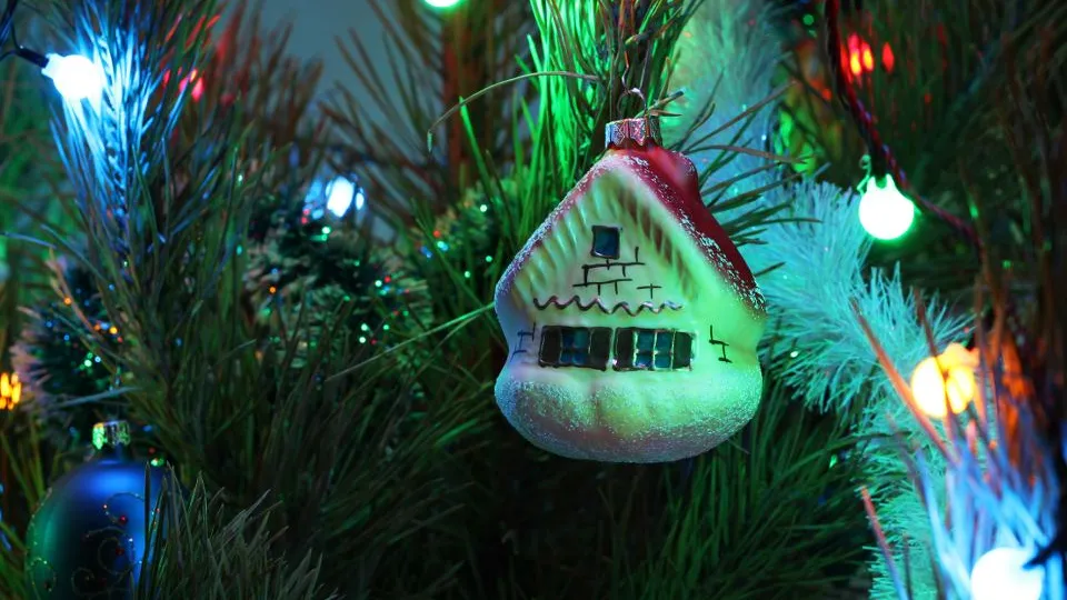 Фото: istockphoto.com/Owl_photographer