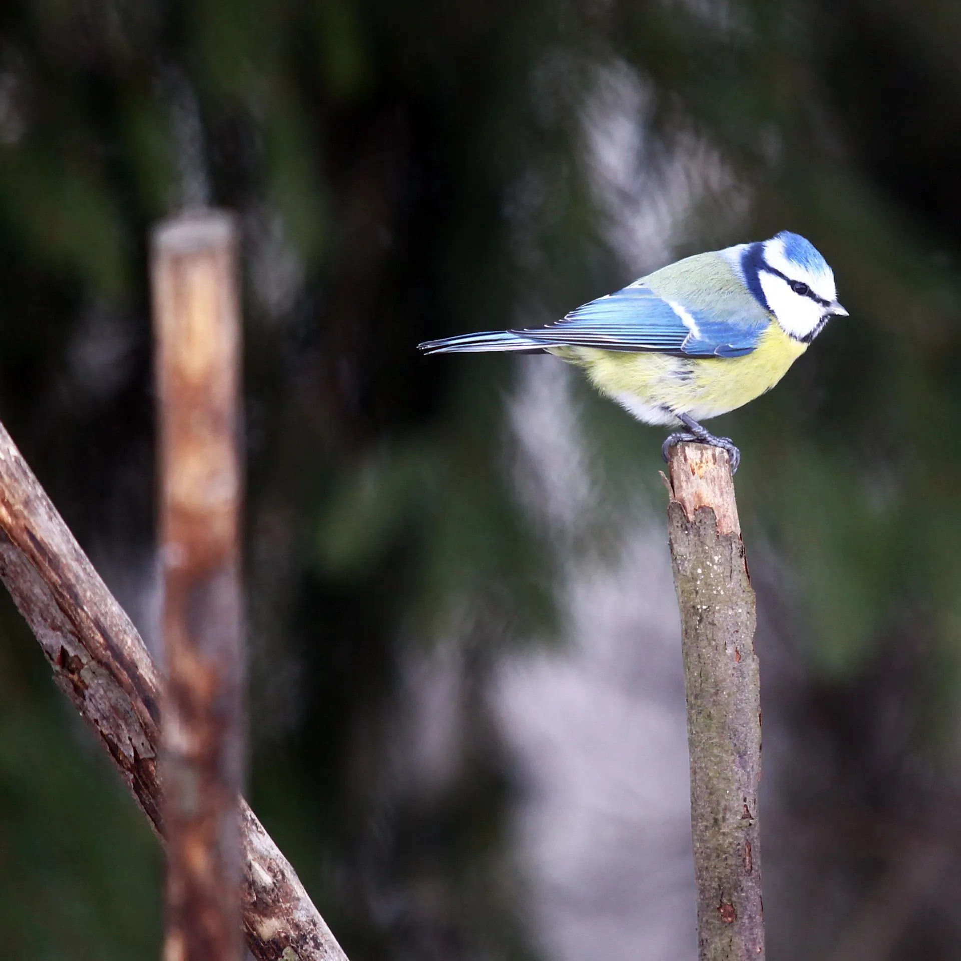 Пресс-служба администрации Ленинского городского округа