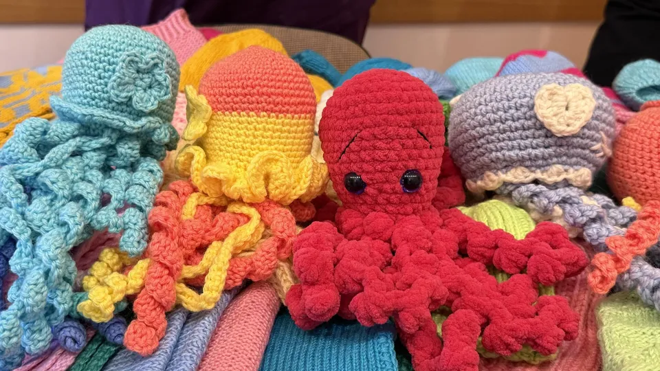 Фото: МедиаБанк Подмосковья/Анна Дука